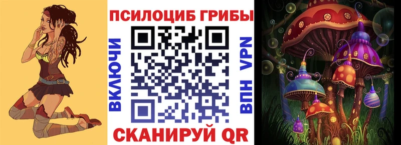 закладки Салават Галлюциногенные грибы Cubensis
